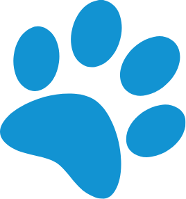 paw