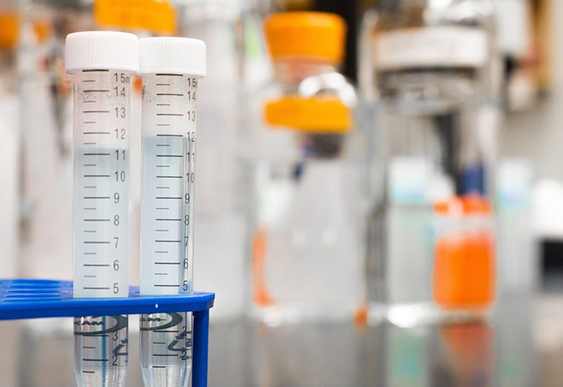 stem-cells