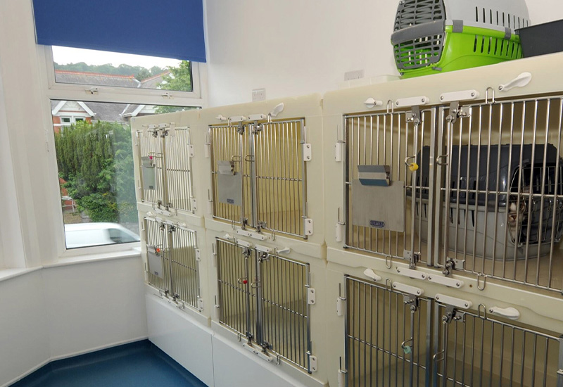 cattery