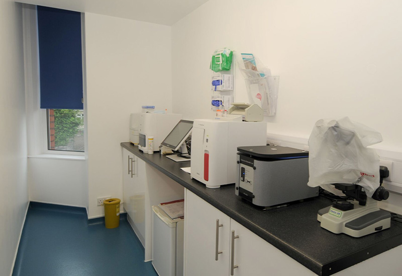 lab