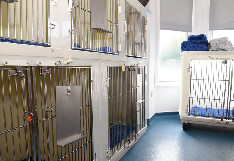 kennels